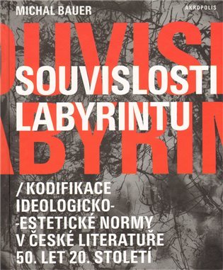 Souvislosti labyrintu