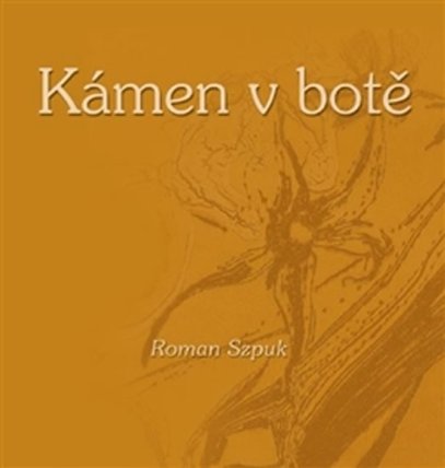 Kámen v botě