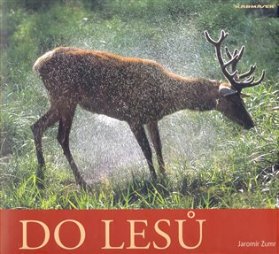 Do lesů