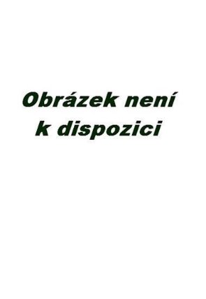 Hlazení duše (v anglickém jazyce)