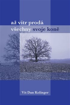 Až vítr prodá všechno svoje koně