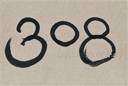 308