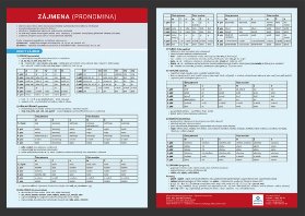 Zájmena - Přehledová tabulka učiva