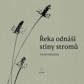 Řeka odnáší stíny stromů