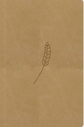 Bible, překlad 21. století (medová) - kapesní