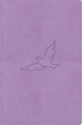 Bible, překlad 21. století (lila) - kapesní