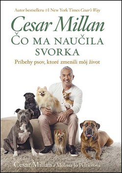 Čo ma naučila svorka