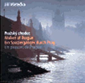 Pražský chodec