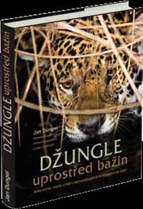 Džungle uprostřed bažin