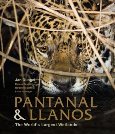 Pantanal and Llanos