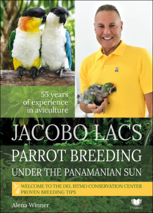 Parrot breeding unter the Panamanian Sun