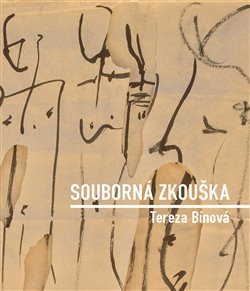Souborná zkouška