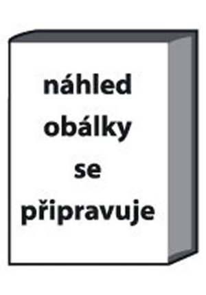 Pták Ohnivák a jiné pohádky