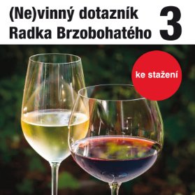 (Ne)vinný dotazník Radka Brzobohatého 3.