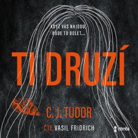 Ti druzí