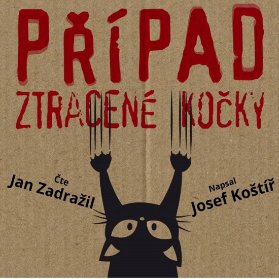 Případ ztracené kočky