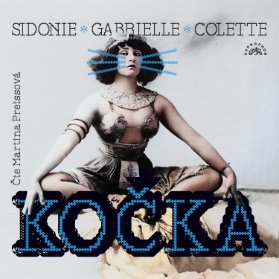 Kočka
