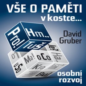O paměti komplexně v&nbsp;kostce