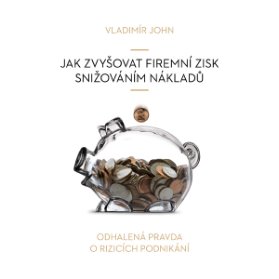 Jak zvyšovat firemní zisk snižováním nákladů