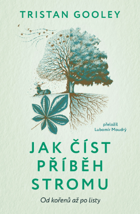 Jak číst příběh stromu