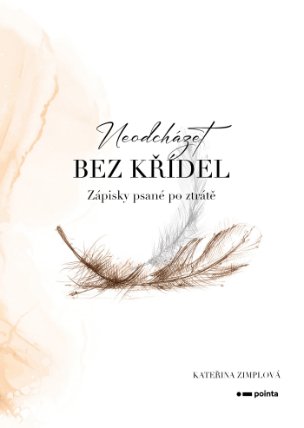 Neodcházet bez křídel