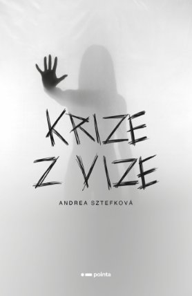 Krize z vize
