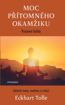 Moc přítomného okamžiku – pracovní kniha