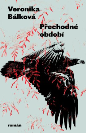 Přechodné období