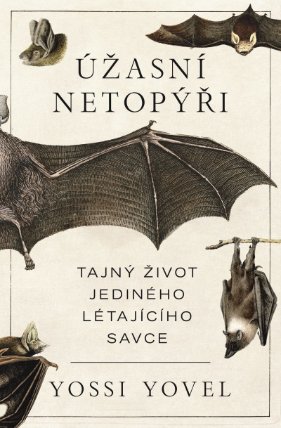 Úžasní netopýři