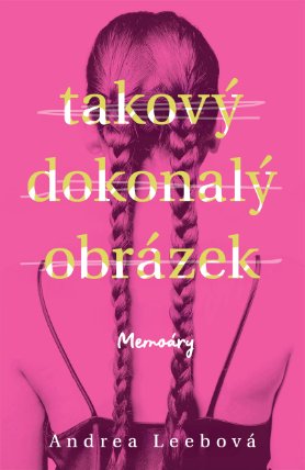 Takový dokonalý obrázek