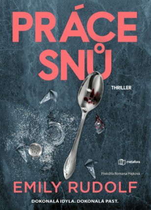 Práce snů