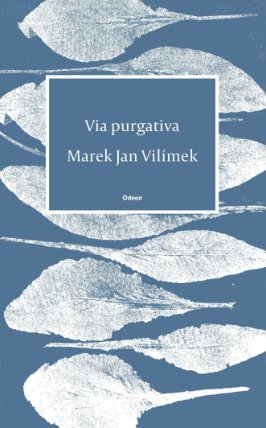 Via purgativa