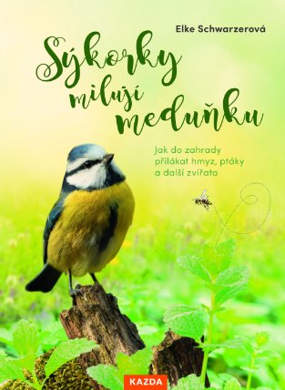 Sýkorky milují meduňku