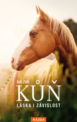 Kůň