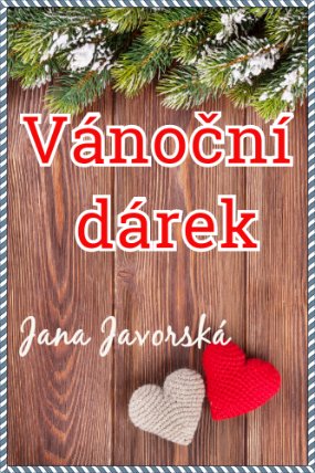 Vánoční dárek