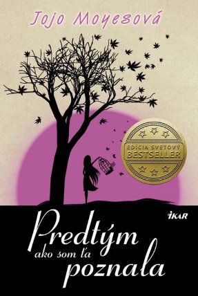 Predtým ako som Ťa poznala
