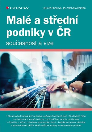 Malé a střední podniky v ČR – současnost a vize