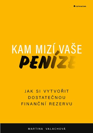 Kam mizí vaše peníze
