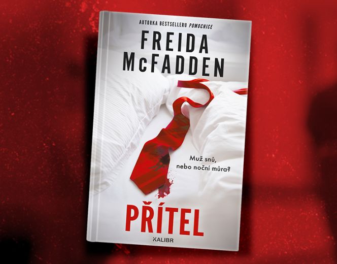 Freida McFadden – Přítel