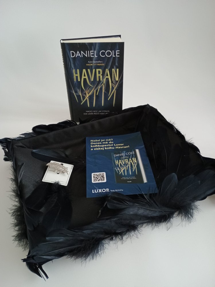 havran_hnizdo.jpg
